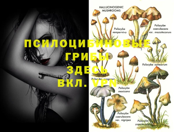 прущая мука Абдулино
