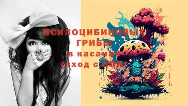 героин Абаза