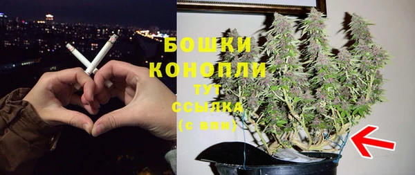 стафф Вязьма