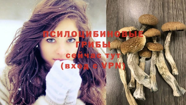jwh Абинск
